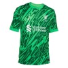 Original Fußballtrikot Liverpool Torwart 2024-25 Grüne Für Herren